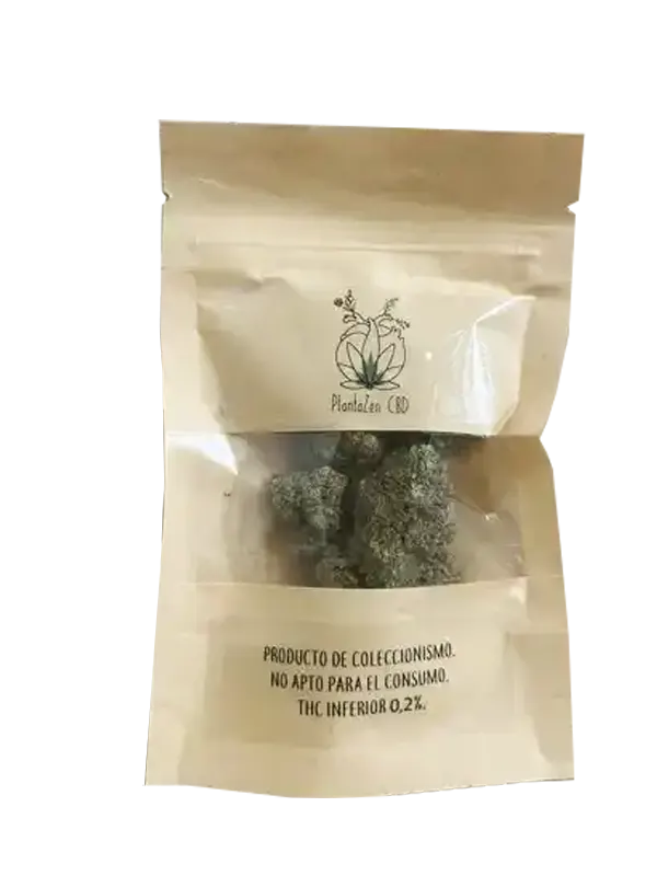 flor cbd galifornia 5